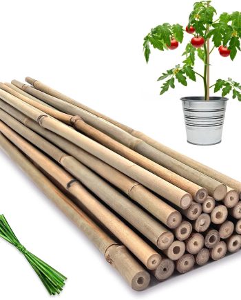 20 Pack 18 Inch Natural Bamboo Plant Stakes for Garden Support