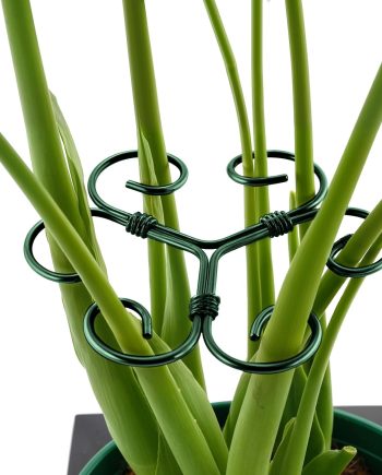 4 Pack Green Metal Monstera Plant Stakes with Bamboo Style Clamps