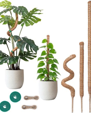 4 Pack Bendable Coco Coir Moss Poles for Climbing Indoor Plants